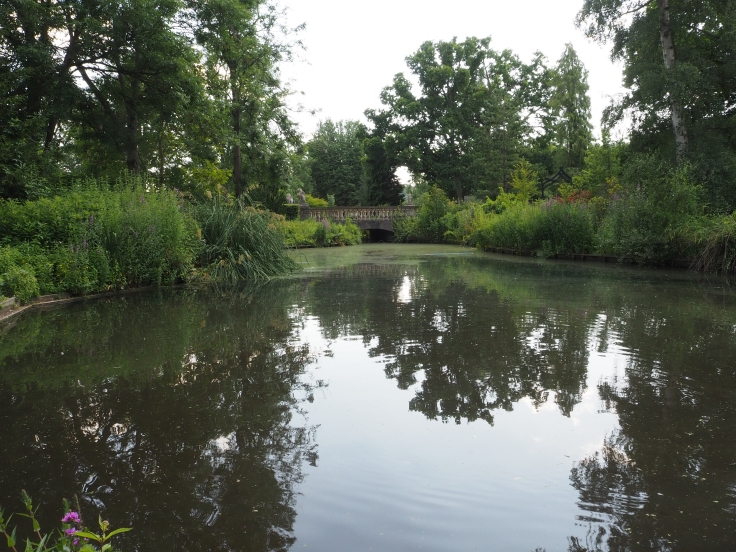 A view over the small lake in Jubilee Gardens at Beale Wildlife Park