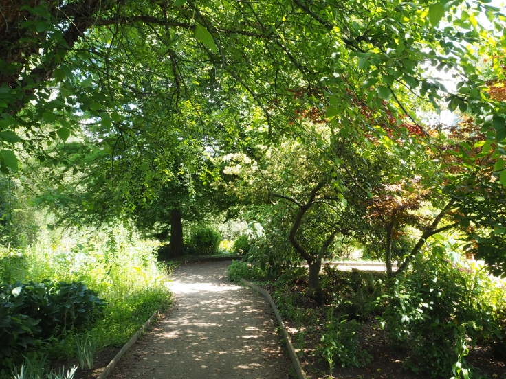 A shaded pathway through Beale Wildlife Park Gardens